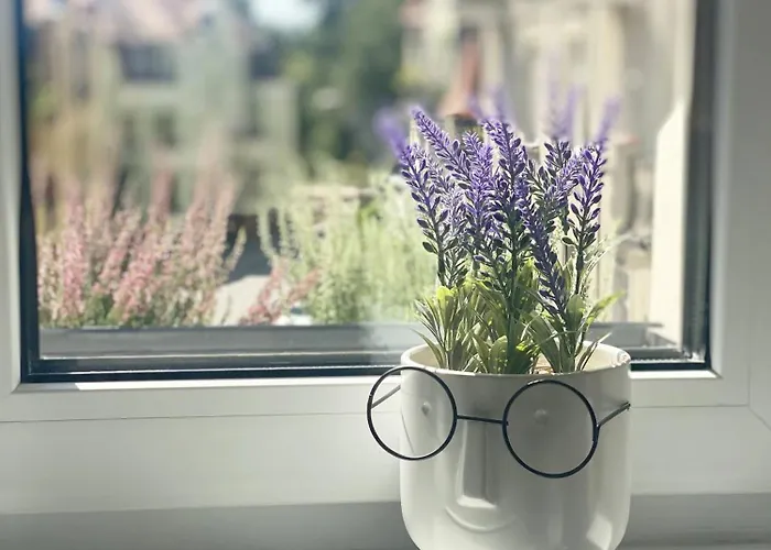 31-vezuvio - Deerrest *